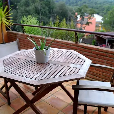 Daire Apartamento